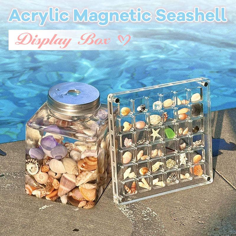 Acrylic Magnetic Seashell Display Box