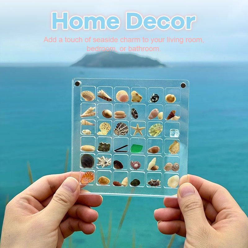 Acrylic Magnetic Seashell Display Box