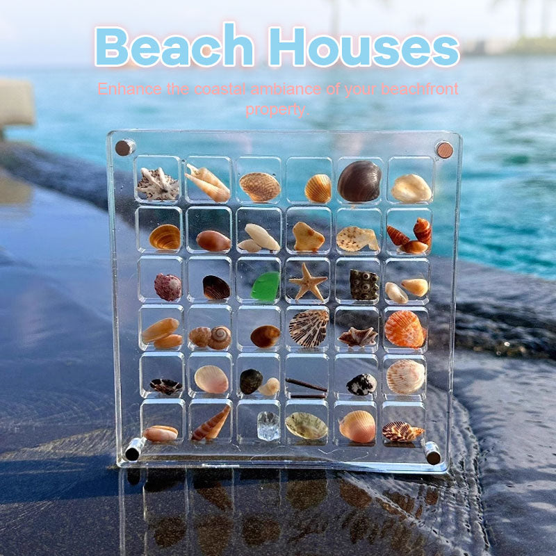 Acrylic Magnetic Seashell Display Box