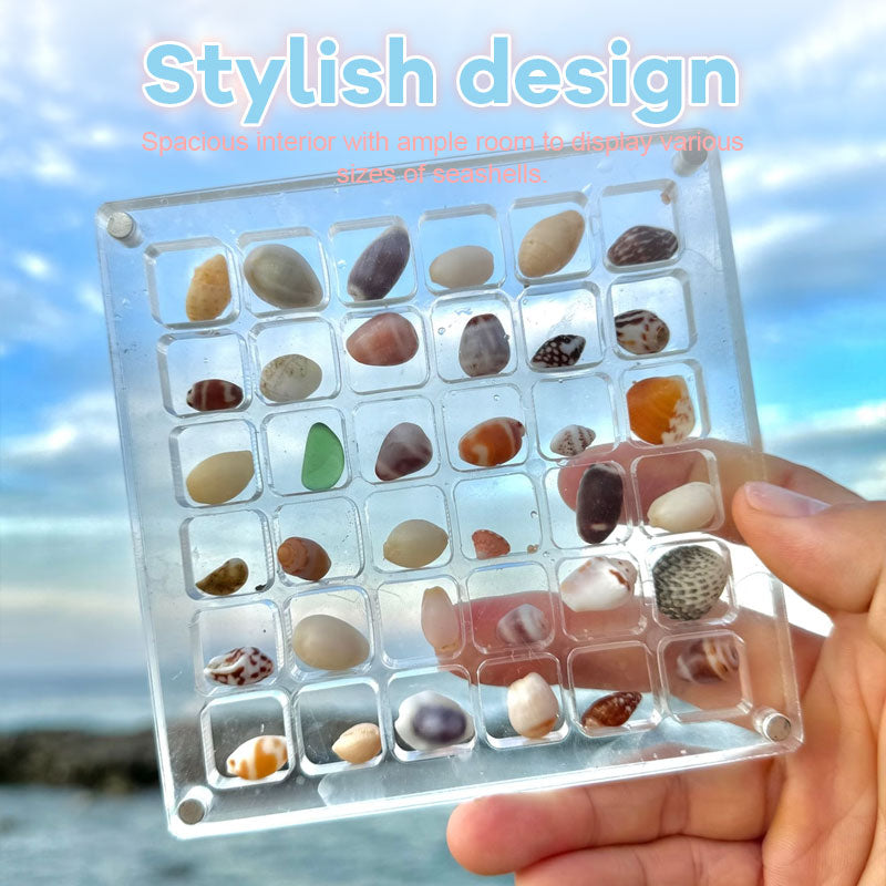 Acrylic Magnetic Seashell Display Box