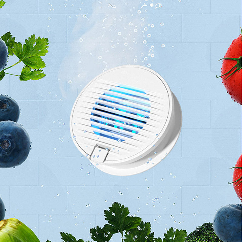 FRUIT AND VEGETABLE PURIFIER